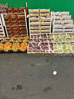 IMG_3167