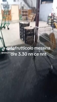 34982c8ae180d7167dc38436cc8d9822